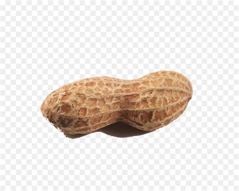 peanut transparent background  clipart library