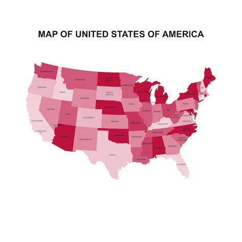 Mapa De Estados Unidos De America Vector Vector Premium