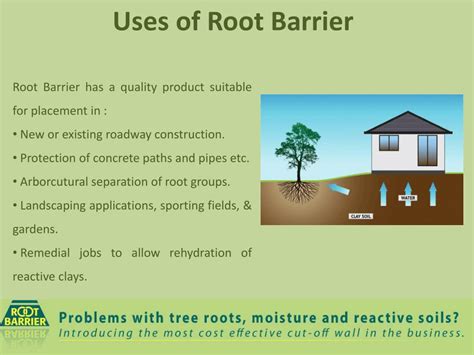 PPT - Tree Max & Root Barrier -Cost Effective Prevent Root and Moisture ...