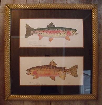 Framed Fish Prints Trout By Eileen Klatt Out Of Print Professionally