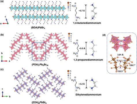 Views Of The Structures Of 2d And 1d Pb‐br Perovskites A Bda Pbbr4 Download Scientific