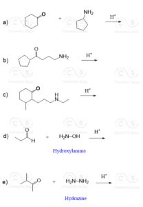 Reactions Of Aldehydes And Ketones With Amines Practice Problems