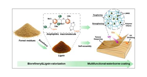 Valorization Of Lignin From Biorefinery Colloidal Lignin Micro