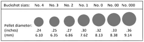 Various Types Of 12 Gauge Buckshot The Buck Stops Here