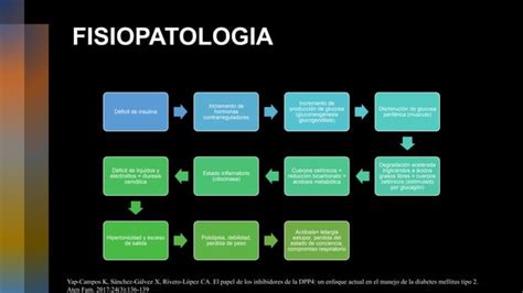 Dm Complicaciones Agudas Factores De Riesgo Y Morbilidad Pptx