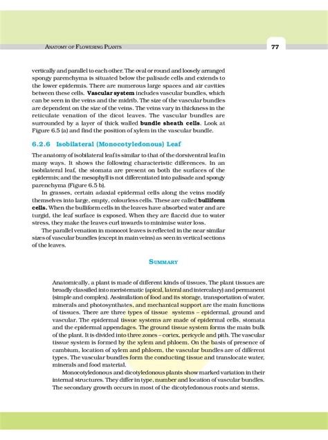 Ncert Book Class 11 Biology Chapter 6 Anatomy Of Flowering Plants 2024