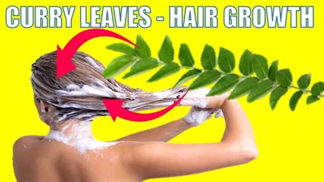 How To Use Curry Leaves For Exceptional Hair Growth Epic Natural Health