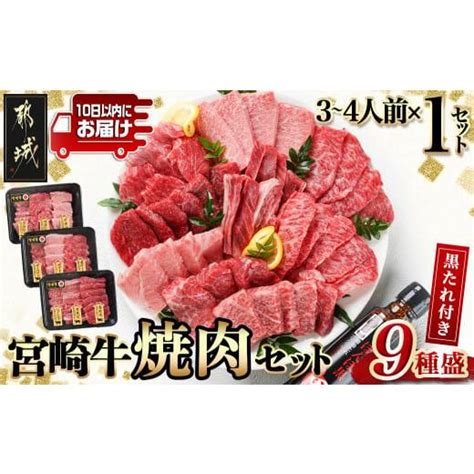 ふるさと納税 宮崎県 都城市 【数量限定】宮崎牛9種盛り焼肉セット≪みやこんじょ特急便≫22 3101 Q都城市 宮崎牛 ラムシン