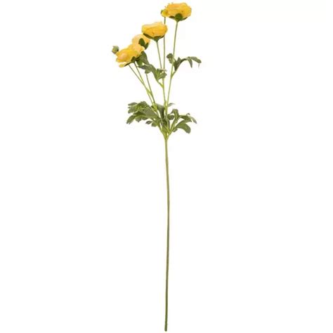 Ranunculus Spray Hobby Lobby 1397165