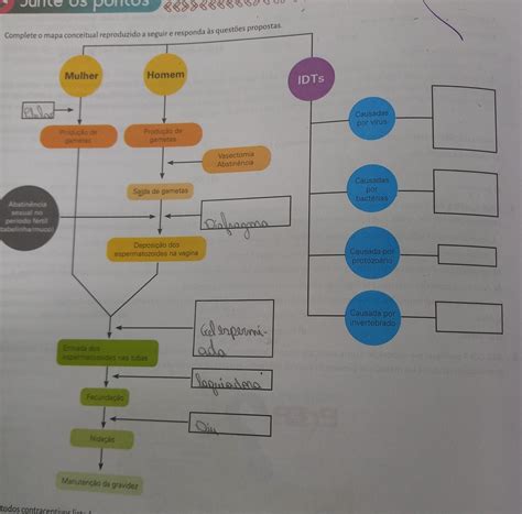 Complete O Mapa Conceitual Reproduzido A Seguir E Responda às Questões