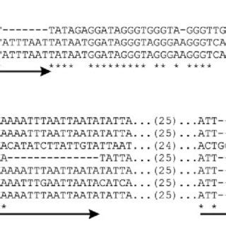 Representative Intergenic Region Nucleotide Sequence Alignments That