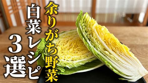 【白菜大量消費】余りがちな定番野菜の活用法！飽きずに美味しく食べられる旬の野菜レシピ3選【基本の和食】 レシピ動画