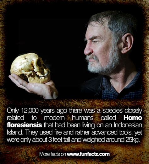 Only 12,000 years ago there was a species closely related to modern ...