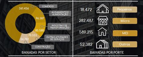 Empresa Baixada O Que Significa - Infográfico das Empresas Baixadas - Inovall - Inteligência de Mercado