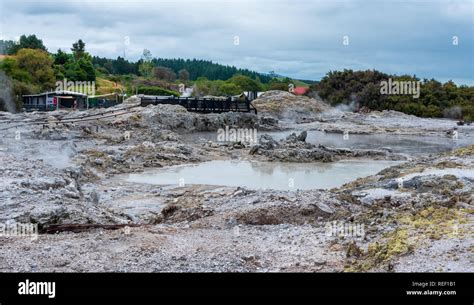 Hells gate geothermal park rotorua hi-res stock photography and images ...