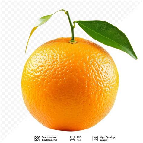 Una Sola Fruta De Naranja Aislada Sobre Un Fondo Blanco Aislado Que