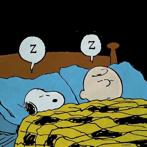 Sleeping Snoopy Pictures Snoopy Snoopy Images