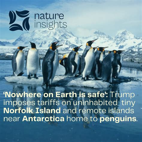 Critics are divided on the bold style of the Unlander brand 25