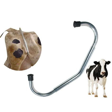 Антибрык Для Коров Из оцинкованный для крупно-рогатого скота - купить с ...