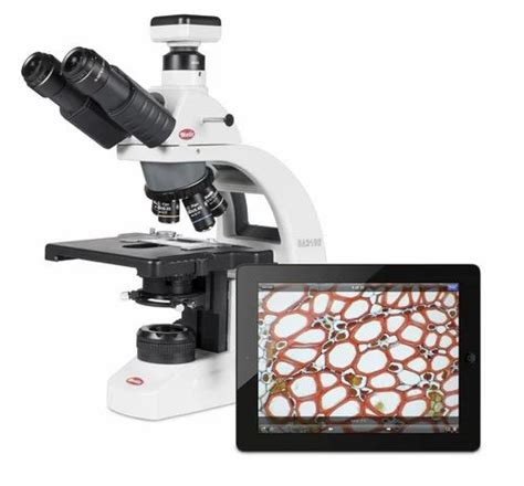 motic laboratory microscope led    rs   mumbai id