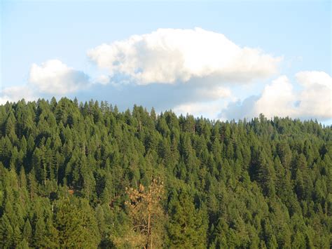Elevation map of Trinity County, CA, USA - Topographic Map - Altitude Map