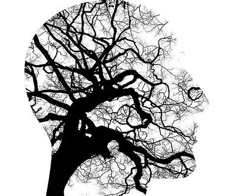 Relationship Between Psychology And Law Bscholarly