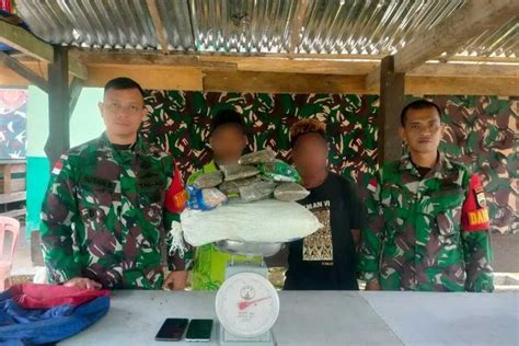 Bawa 2 Kg Ganja Dari Papua Nugini 2 Pemuda Ditangkap Di Keerom