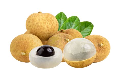 Longan - thai-best