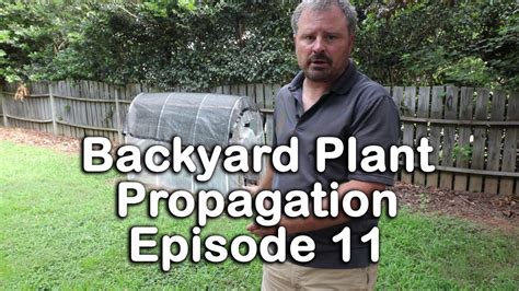 Backyard Plant Propagation Episode 11 How To Root Gardenias Spirea