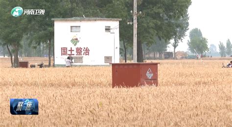 坚守耕地红线 筑牢粮食安全“压舱石”