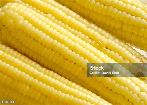jagung rebus manis foto stok  gambar  alam biji