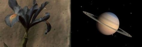 When He Lied To Life And The Universe Started Paying Back What He Torpedoed news