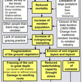 Causes (white boxes) of oversized reindeer population and its impact... | Download Scientific ...