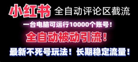 全网首发小红书全自动评论区截流机无需手机可同时运行10000个账号揭秘 网创指引人