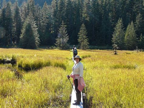 Hiking On Three Lakes Loop Trail In Southeast Alaska Is A Fun Un Cruise