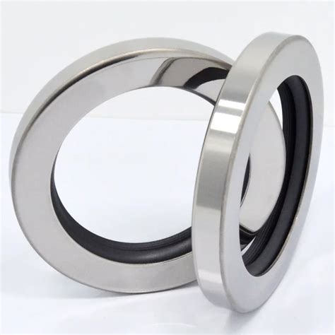 10012012 Ptfe Lip Oil Seal With Stainless Steel Housing Single Lip And Dual Lip Screw Air