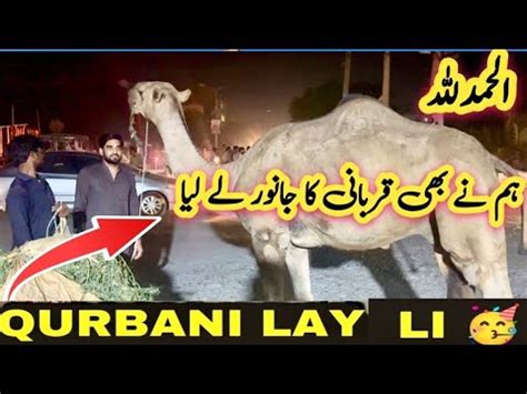 Alhamdulillah Hum Ny Bhe Qurbani Ka Janwer Lay Lia YouTube