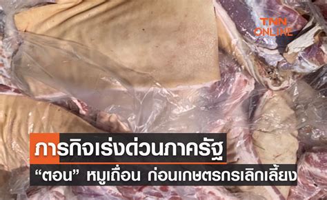 ภาระกิจเร่งด่วนภาครัฐ “ตอน” หมูเถื่อน ก่อนเกษตรกรถอดใจเลิกเลี้ยง