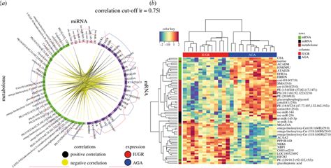 Circos Plot And Heat Map Depicting The Molecular Features Identified