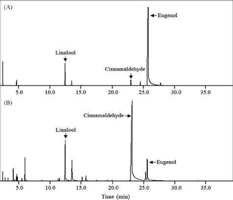 Gc Ms Chromatograms Showing Chemical Compositions Of Cinnamon Leaf Eo