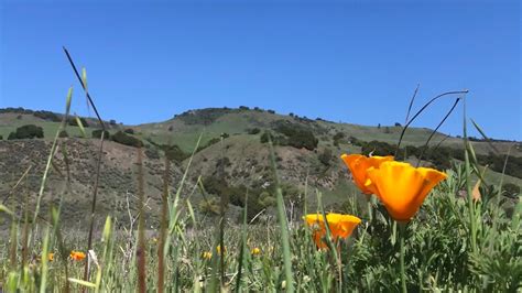 Morgan Hill Parks & Open Space — Visit Morgan Hill