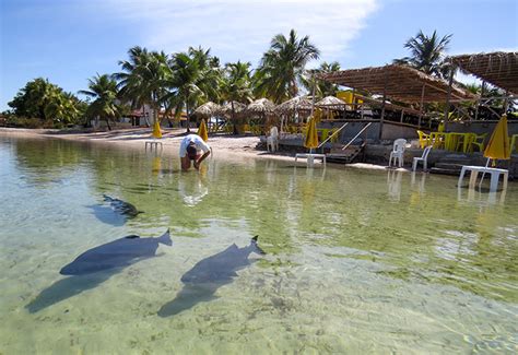 Lagoa Dos Tambaquis A Minutos De Aracaju Se