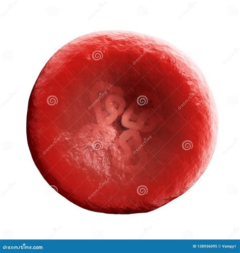 hgb cartoons illustrations vector stock images  pictures