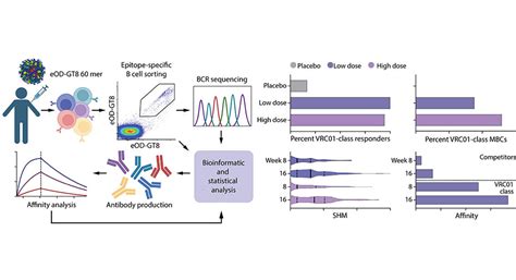 Phase 1 Trial Of The First In Human Hiv Vaccine Shows Promising Results