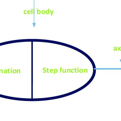 The simple neuron model. | Download Scientific Diagram