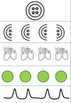 PHONOLOGICAL AWARENESS syllable word counting by Words Aside | TPT