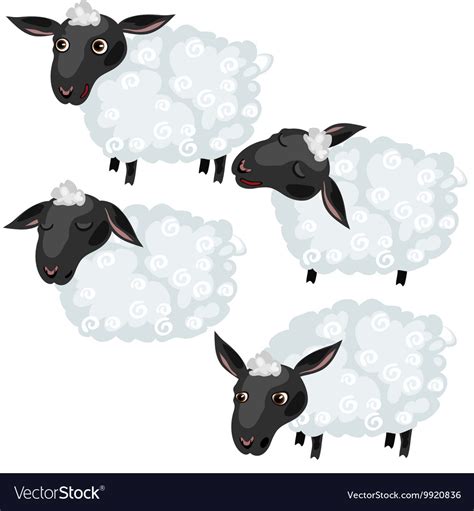 Four Sheep