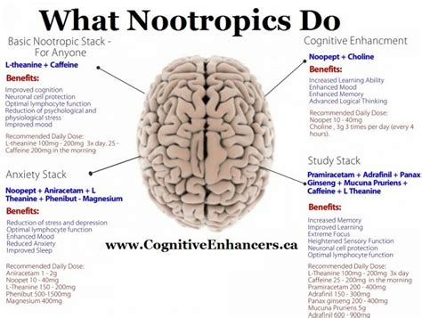 What Is Nootropics Health And Beauty Products Master