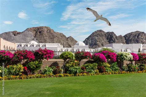 Muscat Sultan palace building architecture, Oman Stock Photo | Adobe Stock