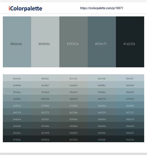 1 Latest Color Schemes With Granny Smith And Shark Color Tone Combinations 2023 Icolorpalette